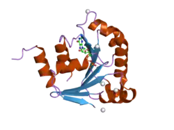 2h18: Structure of human ADP-ribosylation factor-like 10B (ARL10B)