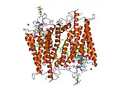 2hpy: Crystallographic model of lumirhodopsin