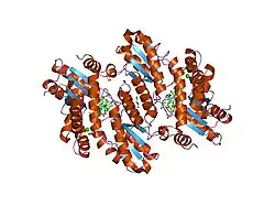 2hrc: 1.7 angstrom structure of human ferrochelatase variant R115L