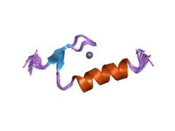 2i5o: Solution Structure of the Ubiquitin-Binding Zinc Finger (UBZ) Domain of the Human DNA Y-Polymerase Eta