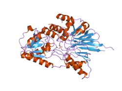 2i7v: Structure of Human CPSF-73
