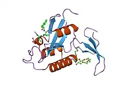 2itk: human Pin1 bound to D-PEPTIDE
