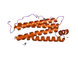 2iu2: RECOMBINANT HUMAN H FERRITIN, K86Q, E27D AND E107D MUTANT, SOAKED WITH ZN IONS