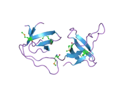 2j06: CRYSTAL STRUCTURE OF THE RASGAP SH3 DOMAIN AT 1.8 ANGSTROM RESOLUTION