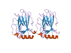 2j1x: HUMAN P53 CORE DOMAIN MUTANT M133L-V203A-Y220C-N239Y-N268D