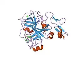 2j38: CRYSTAL STRUCTURE OF A HUMAN FACTOR XA INHIBITOR COMPLEX