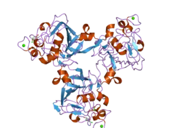 2j60: H-FICOLIN COMPLEXED TO D-FUCOSE