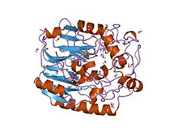 2jdx: CRYSTAL STRUCTURE OF HUMAN L-ARGININE:GLYCINE AMIDINOTRANSFERASE, DELETIONMUTANT ATDELTAM302