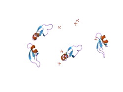 2nlp: Human beta-defensin-1 (Mutant Gln24Glu)