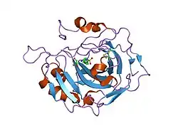 2nng: Structure of inhibitor binding to Carbonic Anhydrase II