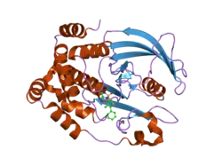 2nta: Crystal Structure of PTP1B-inhibitor Complex