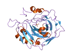 2nwz: Structural and kinetic effects of hydrophobic mutations on the active site of human carbonic anhydrase II