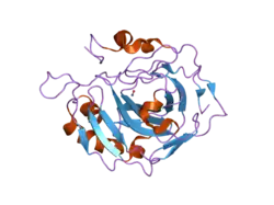 2nxt: Structural and kinetic effects of hydrophobic mutations in the active site of human carbonic anhydrase II