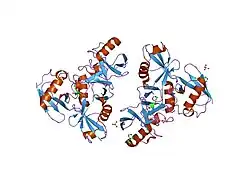 2o6v: Crystal structure and solution NMR studies of Lys48-linked tetraubiquitin at neutral pH