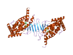 2o9i: Crystal Structure of the Human Pregnane X Receptor LBD in complex with an SRC-1 coactivator peptide and T0901317