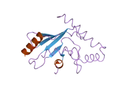 2ob4: Human Ubiquitin-Conjugating Enzyme CDC34