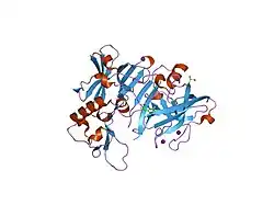 2ohl: X-ray crystal structure of beta secretase complexed with 2-aminoquinoline