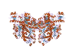 2ome: Crystal structure of human CTBP2 dehydrogenase complexed with NAD(H)