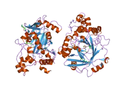 2ot7: Crystal structure of JMJD2A complexed with histone H3 peptide monomethylated at Lys9