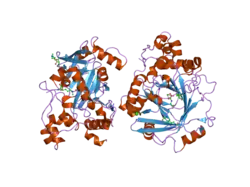 2ox0: Crystal structure of JMJD2A complexed with histone H3 peptide dimethylated at Lys9