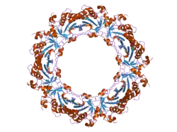 2pn8: Crystal structure of human peroxiredoxin 4 (thioredoxin peroxidase)