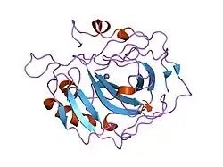 9ca2: ENGINEERING THE HYDROPHOBIC POCKET OF CARBONIC ANHYDRASE II