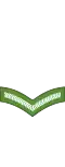 Lance corporal (Papua New Guinea Land Element)