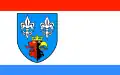 Flag of Bełchatowski County