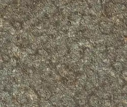  ... and as photographed (in false color) from Mars orbit...