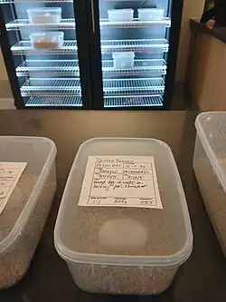 Painted Terrapin eggs at the San Diego Zoo