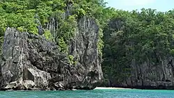 Palawan Limestones near Puerto Princesa Subterranean River National Park