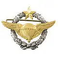 Parachutist Badge