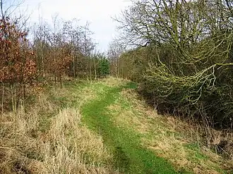 a path following Basselton Beck