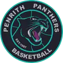 Penrith Panthers logo