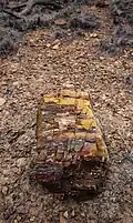 Petrified wood