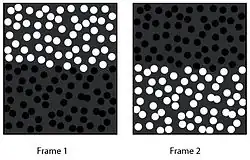 Phantom contour frames