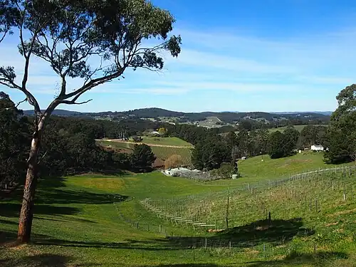 View SE across the Piccadilly Valley from the Mount Lofty Scenic Route. The summit of Mount Barker, 22 km away, is visible on the horizon.