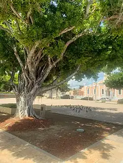 Plaza with the Catholic church in the background.