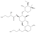 Plazomicin