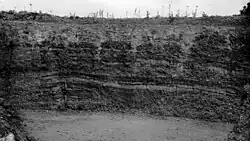 Cannoncourt Farm Pit