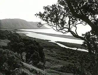 A black and white image of a bay with a large sandbar separating a river from the ocean. A large tree obscures the bay