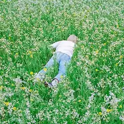 A blonde male, Porter Robinson, laying in a field of grass and flowers.