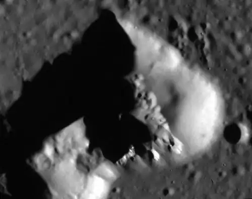 A close-up at low sun angle