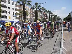 Dozens of professional bicyclists race on a street lined with palm trees and pastel apartments.