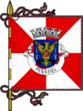Flag of Penafiel