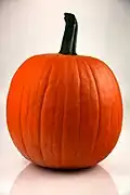 Round orange pumpkin
