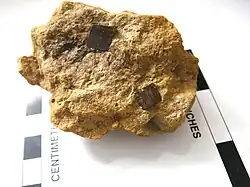 Goethite coating/replacing rusted pyrite cubes