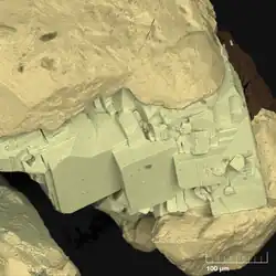 SEM image of intergrowth of pyrite cuboctahedral crystals (yellow) and pyrrhotite (pinkish yellow)