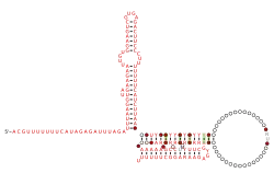 BTnc231 Secondary structure taken from the Rfam database. Family RF04180