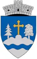 Coat of arms of Holbav